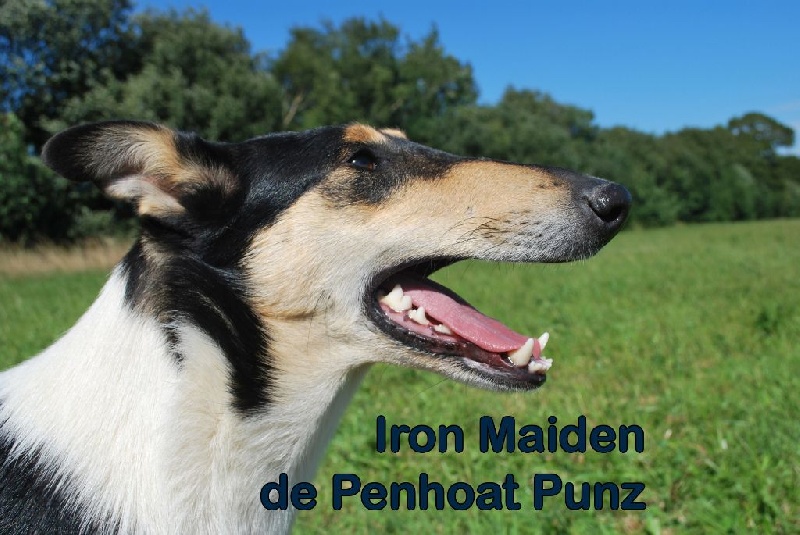 Iron maiden De Penhoat Punz