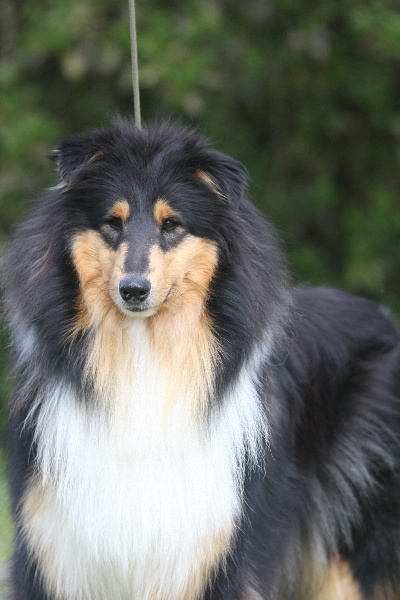Famous black De Penhoat Punz